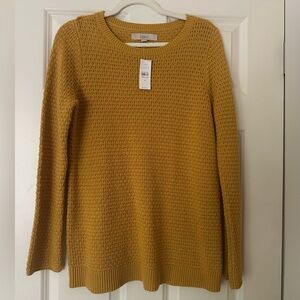 Loft sweater NWT